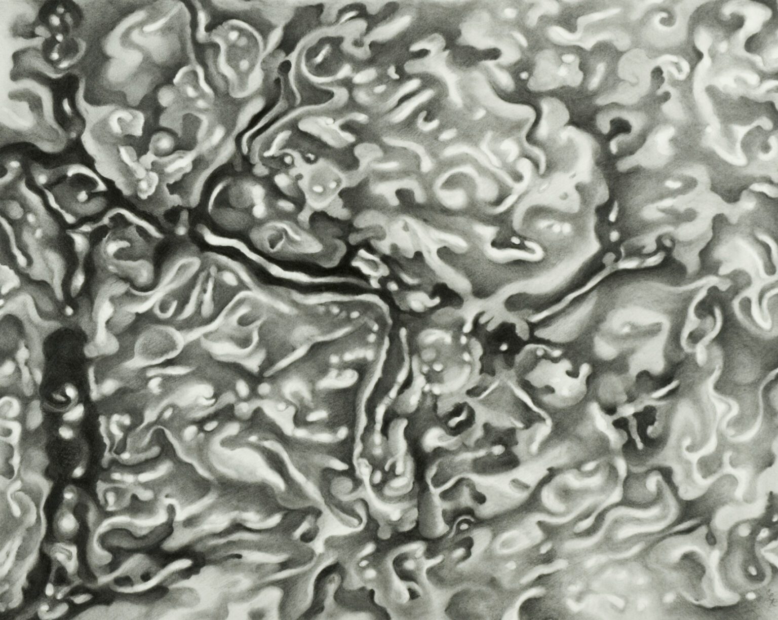 Abstract Graphite Drawing with swirling organic patterns and textures.