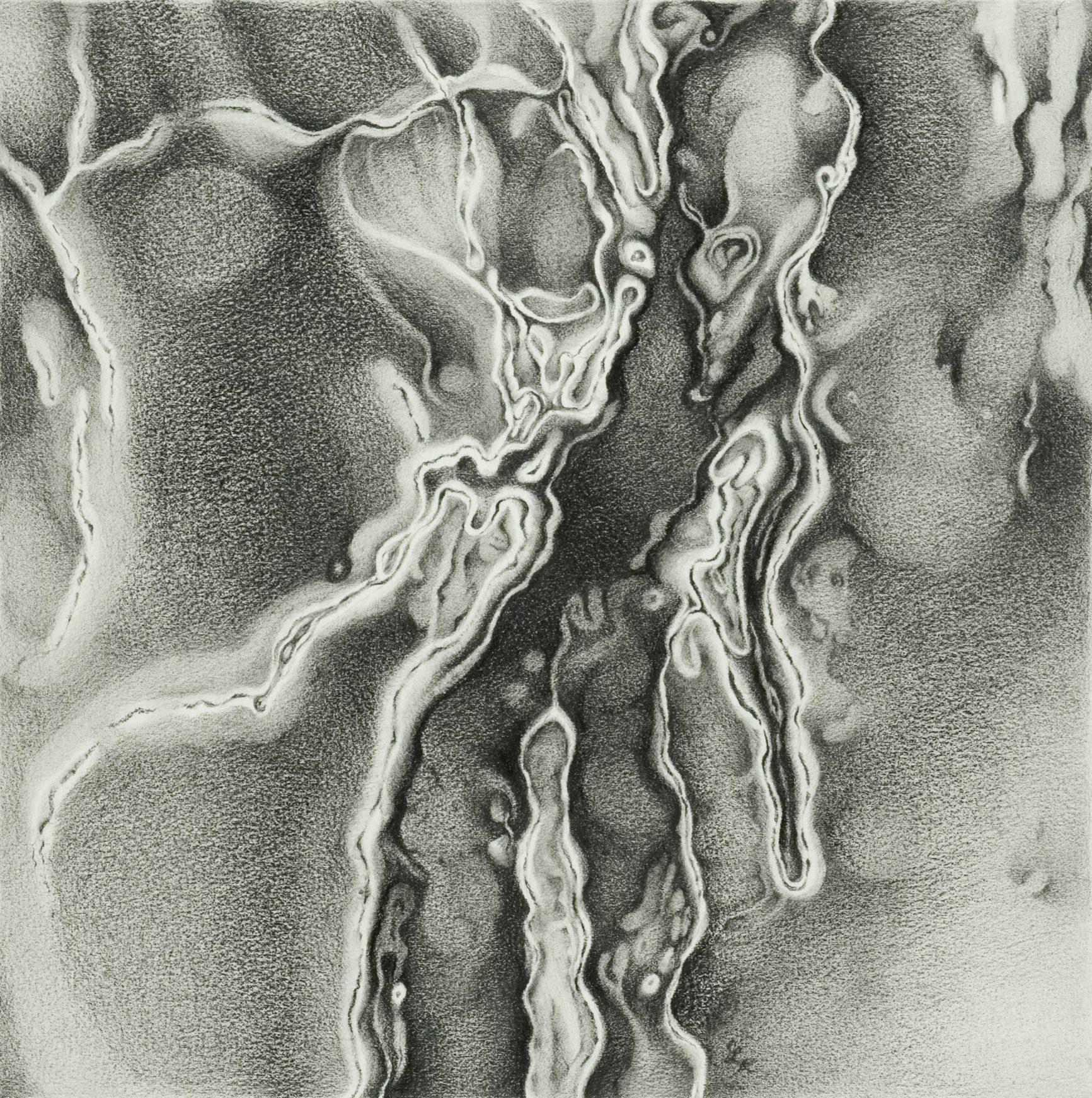 Abstract Graphite Drawing with flowing, organic shapes.