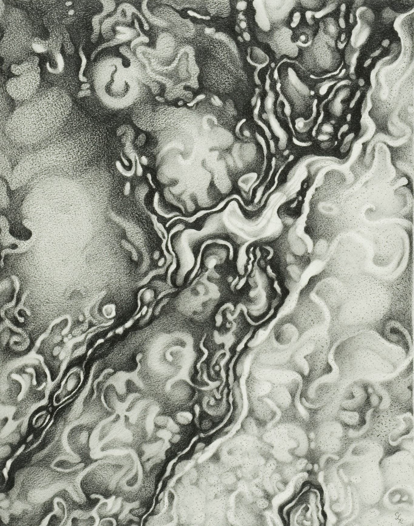 Abstract Graphite Drawing with swirling organic shapes.