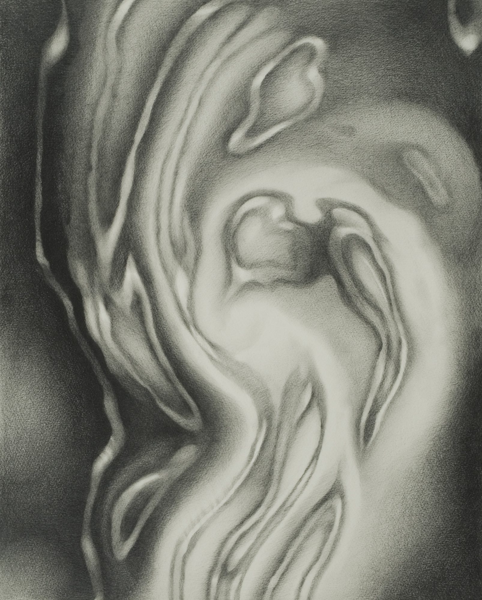 Abstract Graphite Drawing with fluid, organic shapes.