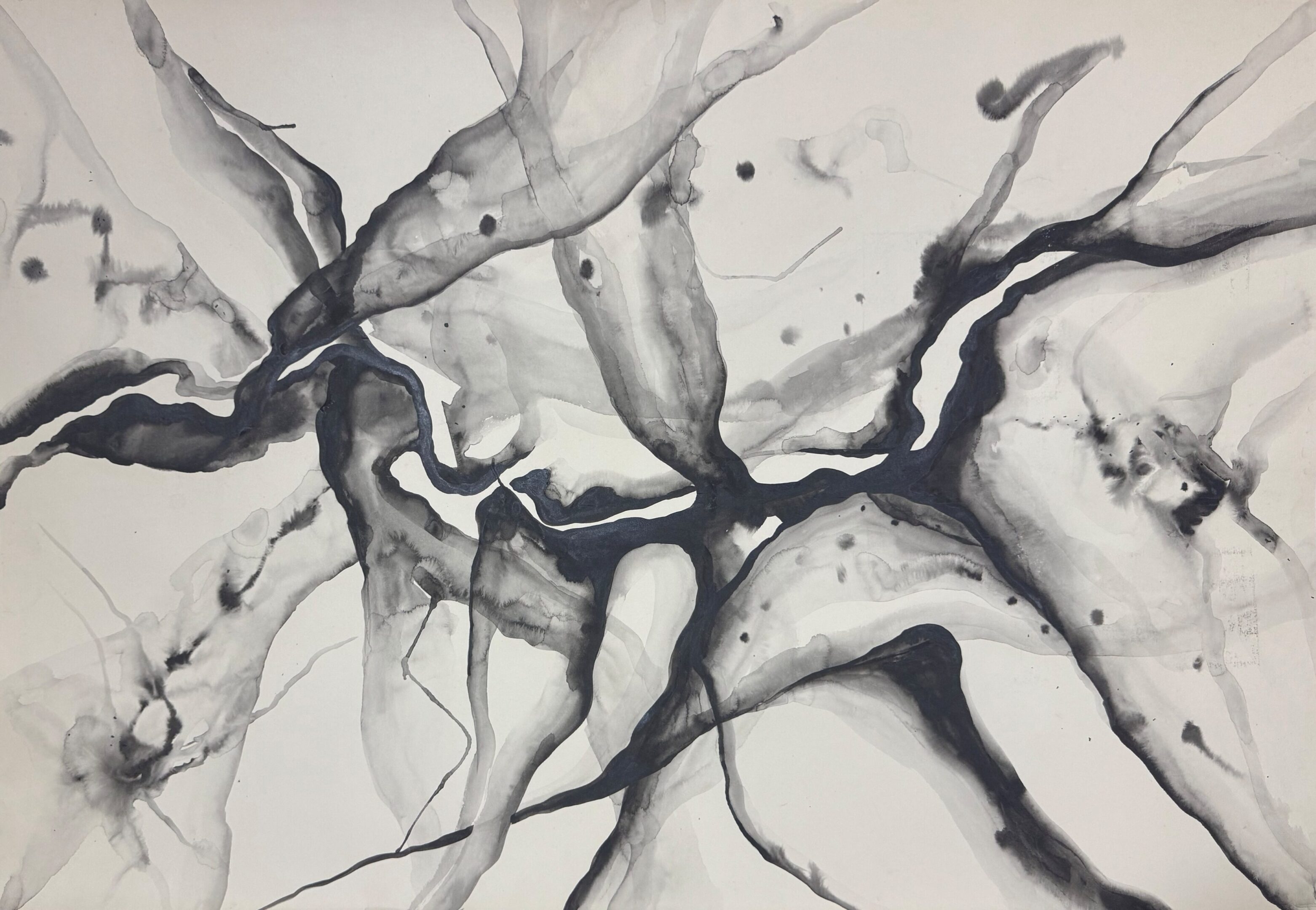 Abstract black and gray ink patterns on a white background.