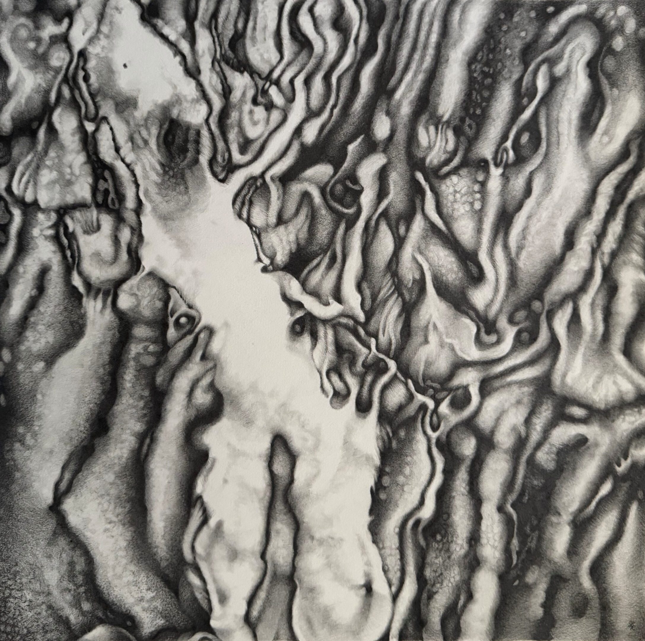 Abstract Graphite Drawing of swirling patterns with fluid shapes.