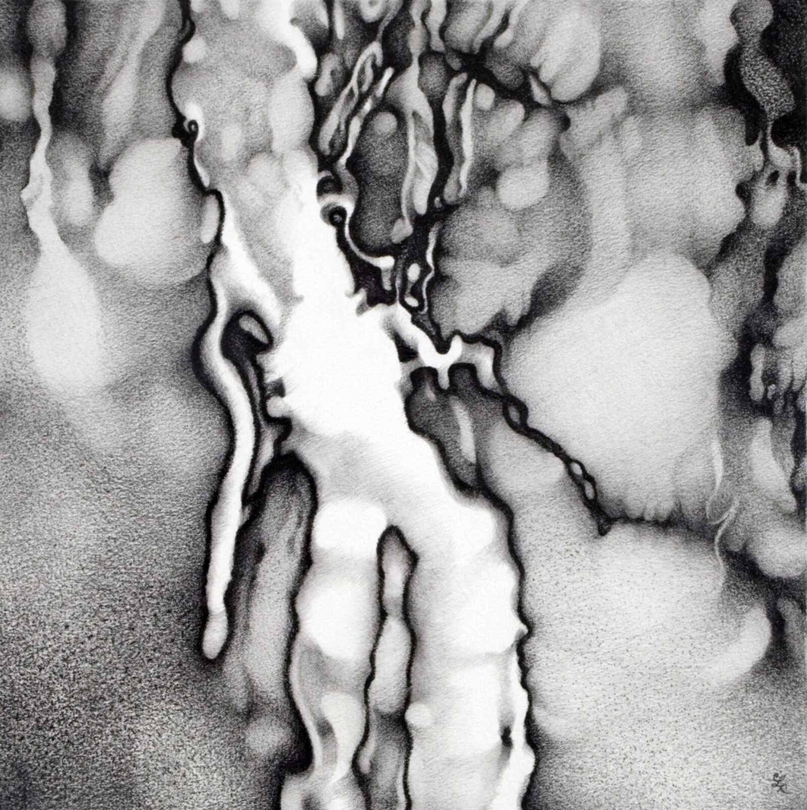 Abstract Graphite Drawing resembling organic shapes and textures.
