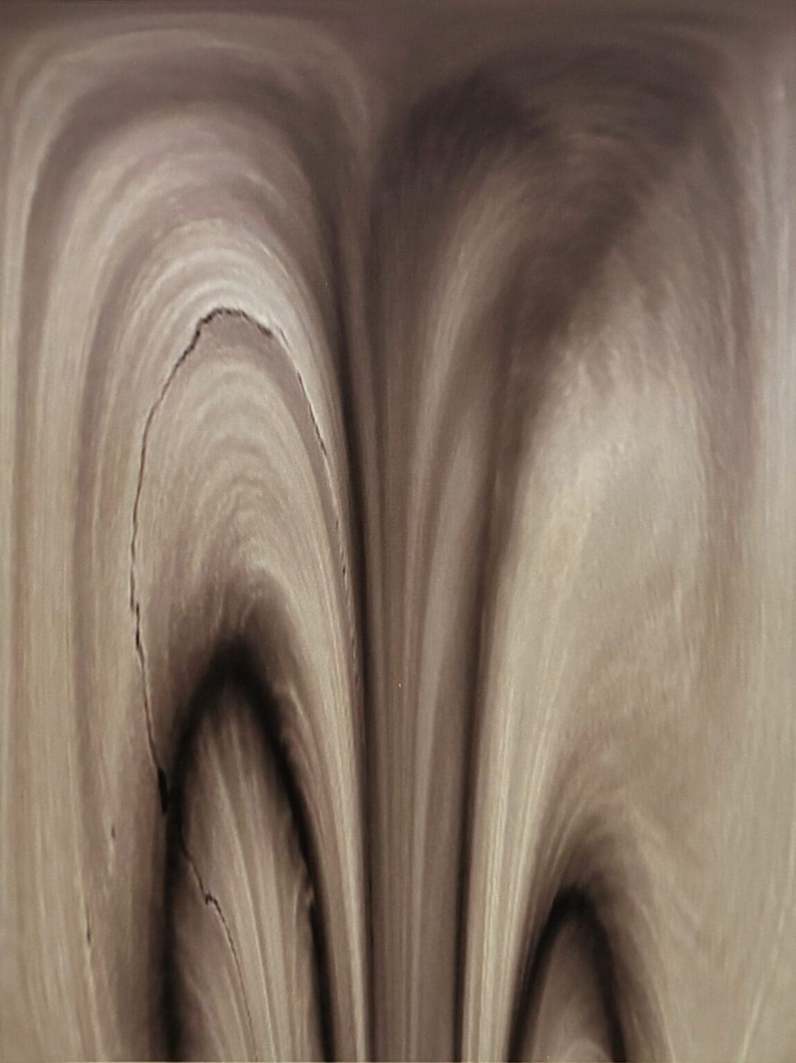Abstract swirls and curves in muted beige and brown tones.
