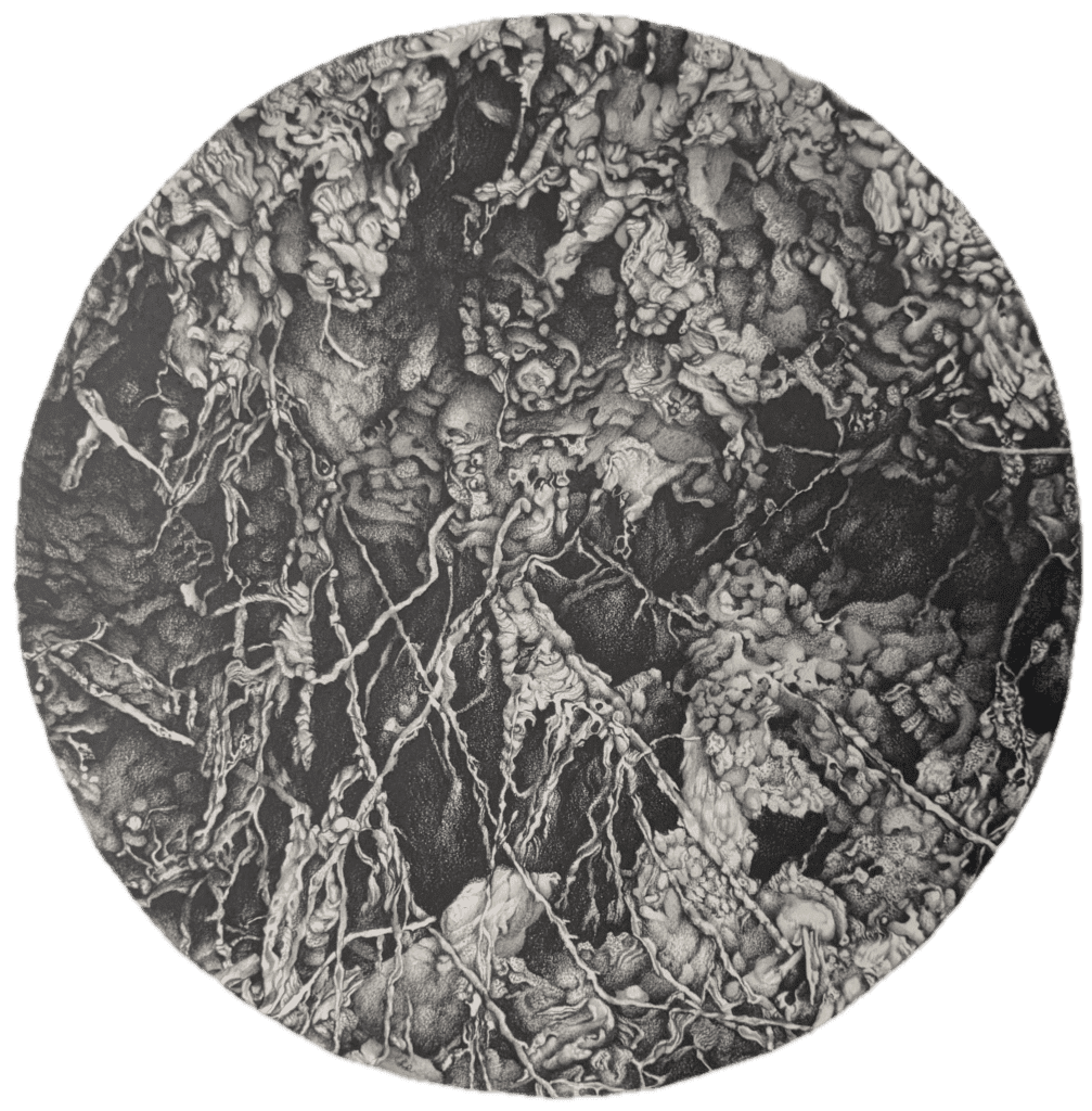 Intricate black and white abstract drawing of organic, root-like forms and textures